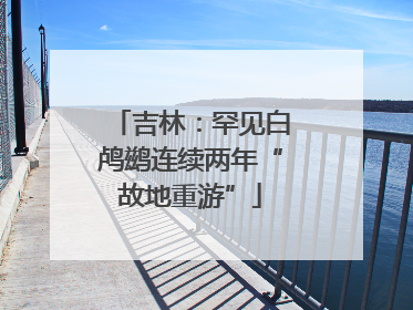 吉林：罕见白鸬鹚连续两年“故地重游”